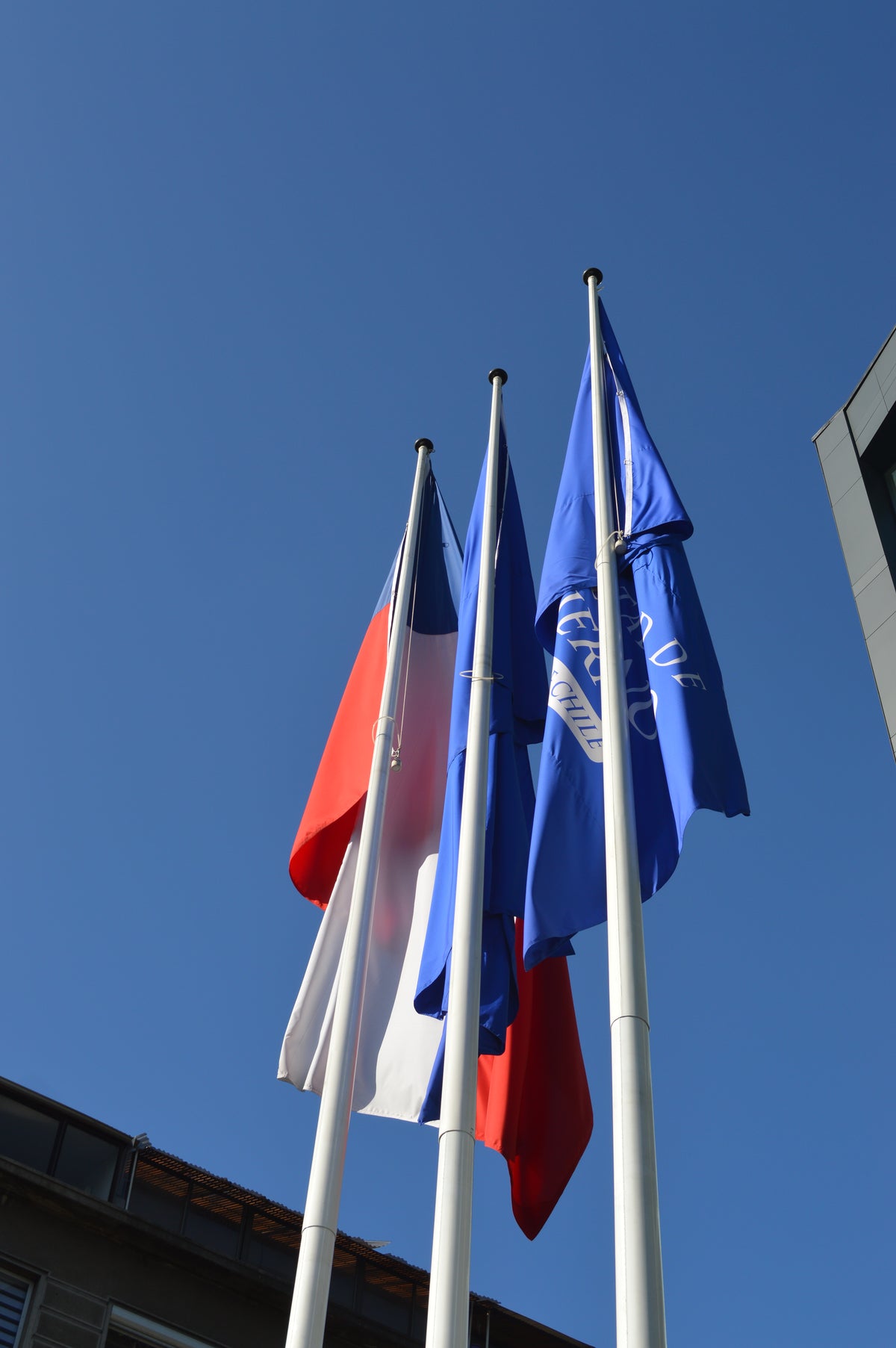 U. de Chile, Escuela de Gobierno y Gestión Pública con Astas de Bandera PTJ