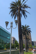 Poste Promenade - PTJ - PTJ