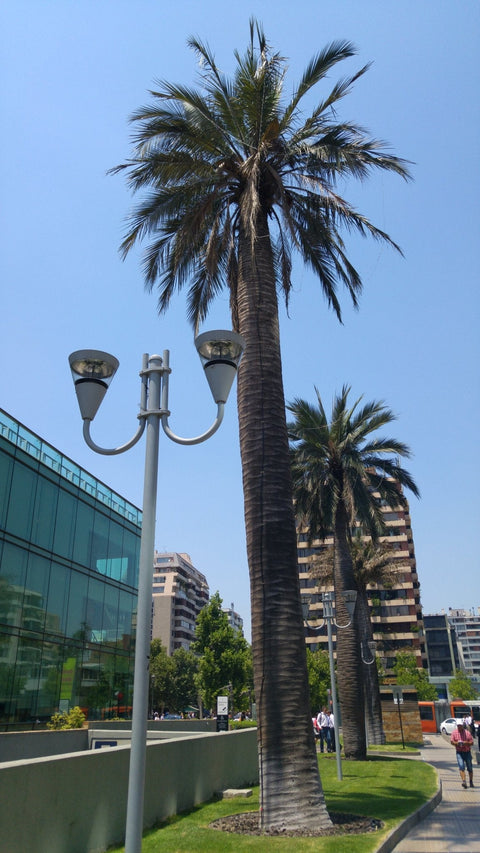Poste Promenade - PTJ - PTJ